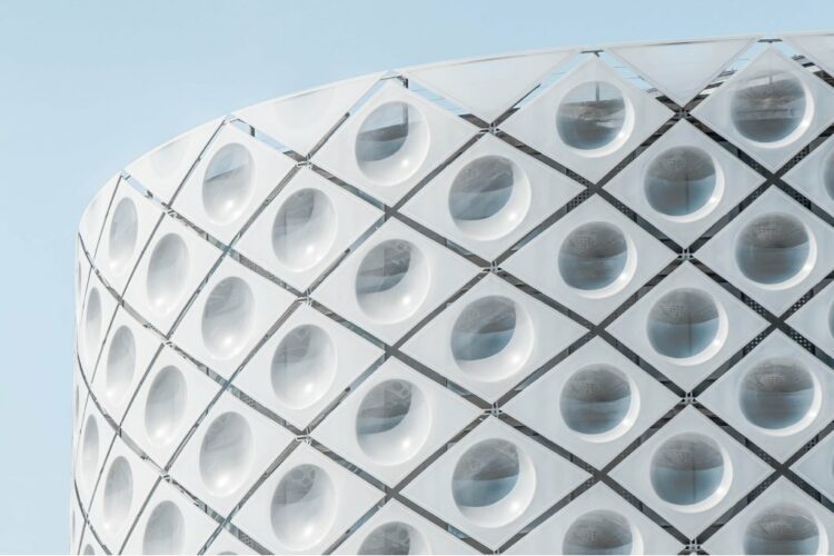 Animal Friendly places to travel