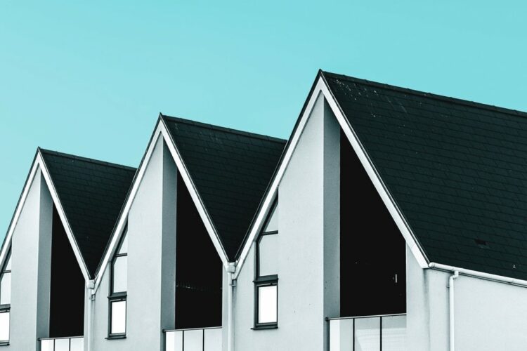 Best plant accessories